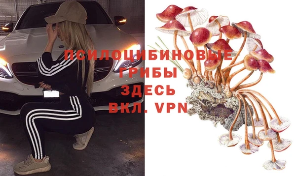 2c-b Балахна