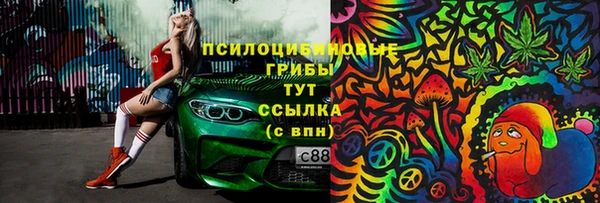 спиды Аркадак