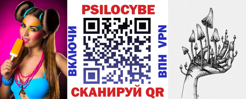 Галлюциногенные грибы Psilocybe  Слободской 